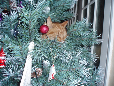 Mum and Dads Dec 07 012