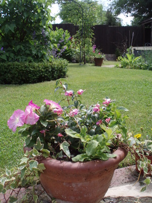 Tennis and Waterperry june08 041