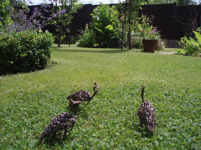 Tennis and Waterperry june08 042