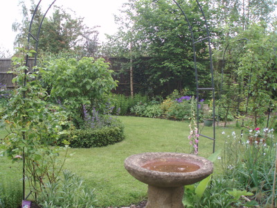 Cats in the garden 07