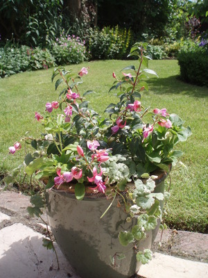 Tennis and Waterperry june08 040