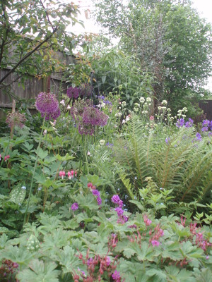 Cats in the garden 07