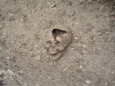 Robs prize even, church and Ellie show 18