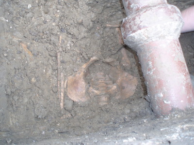 Robs prize even, church and Ellie show 18