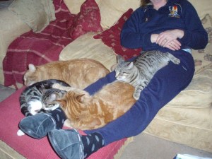 Safari Supper Pub Crawl 043