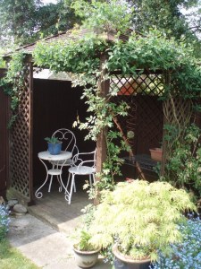 Garden April 2011 021