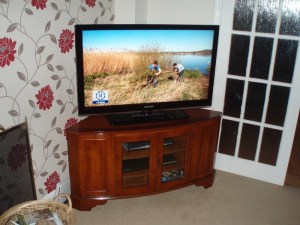 Garden April 2011 022