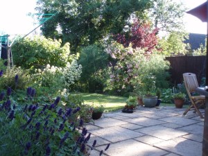 MADS Midsummer June 2011 017