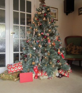 Burns Night Jan 2012 Tricia Cam 048