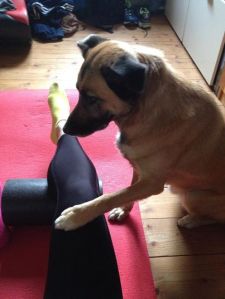 10382631_10152100048662135_6409429649081429495_n