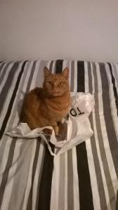 10885087_10152810970456077_3890649951899254806_n