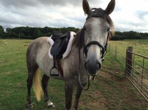 11927459_10153067036912135_4781436746121478_o