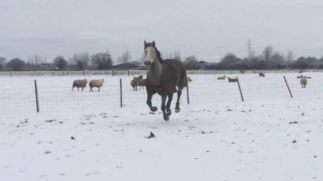 12495041_10153329697017135_8823081764587941473_n