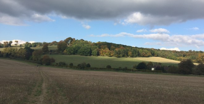 01d20994d9df4c2914bfb75be597cd37313ef973a6-2